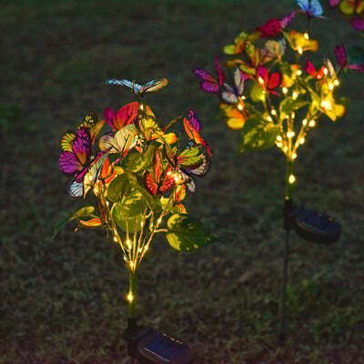Illuminate Outdoor Beauty